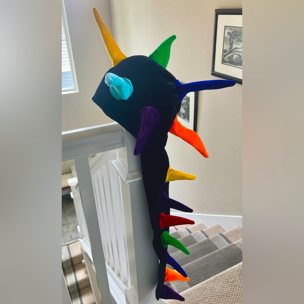 Cirque du Soleil hat